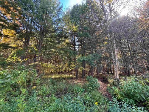 0 Green Hill Ln, Wallingford, VT, 05773 | Card Image