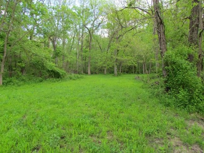 Tract 1 Renick Road, Home with 0 bedrooms, 0 bathrooms and null parking in Oak Grove MO | Image 26