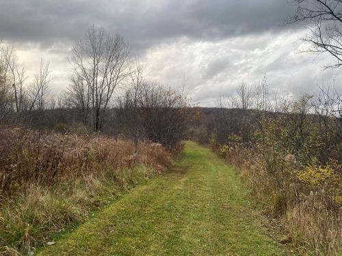 00 County Road 16, Beaver Dams, NY, 14812 | Card Image