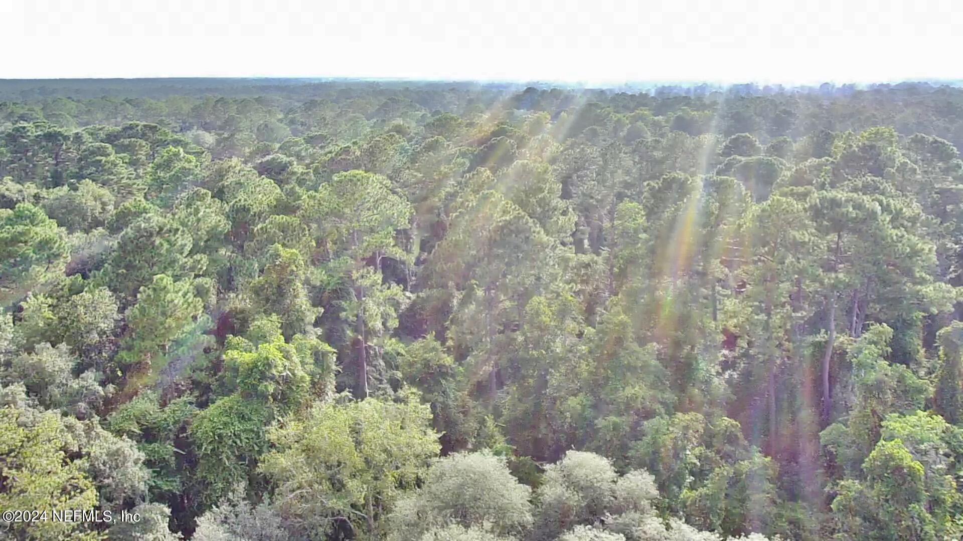 Thunder Heights Ln, Middleburg, FL 32068