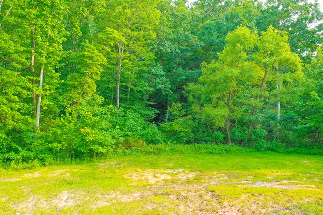 15 April Ln, House other with 5 bedrooms, 2 bathrooms and null parking in Corbin KY | Image 29