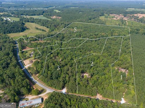 1-LOT 1 Gum Creek Airport Rd, ROOPVILLE, GA, 30170-3710 | Card Image