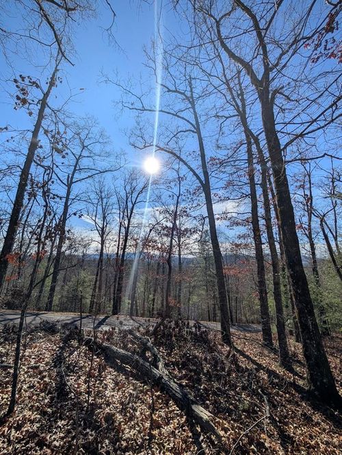 LOT 31 Tower Falls Ln, Hayesville, NC, 28904 | Card Image