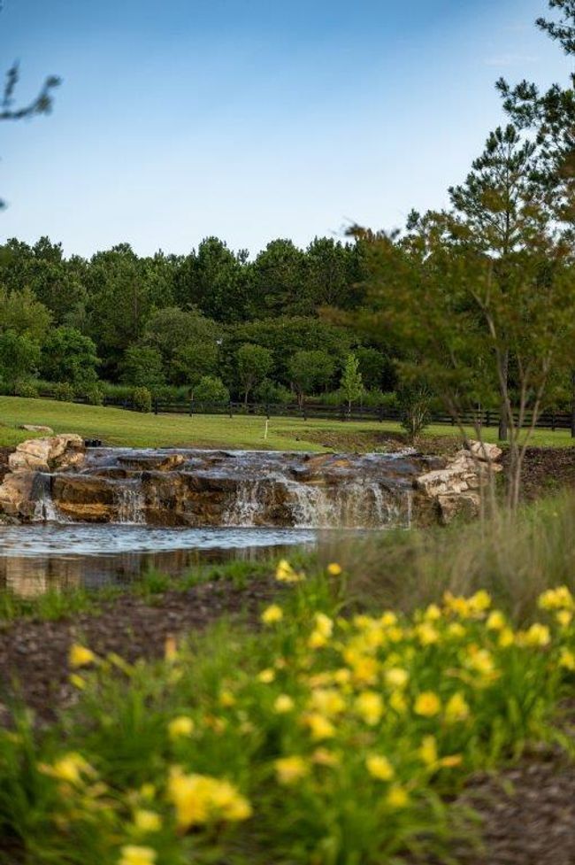 119 Twisted Oak Trail | Image 58
