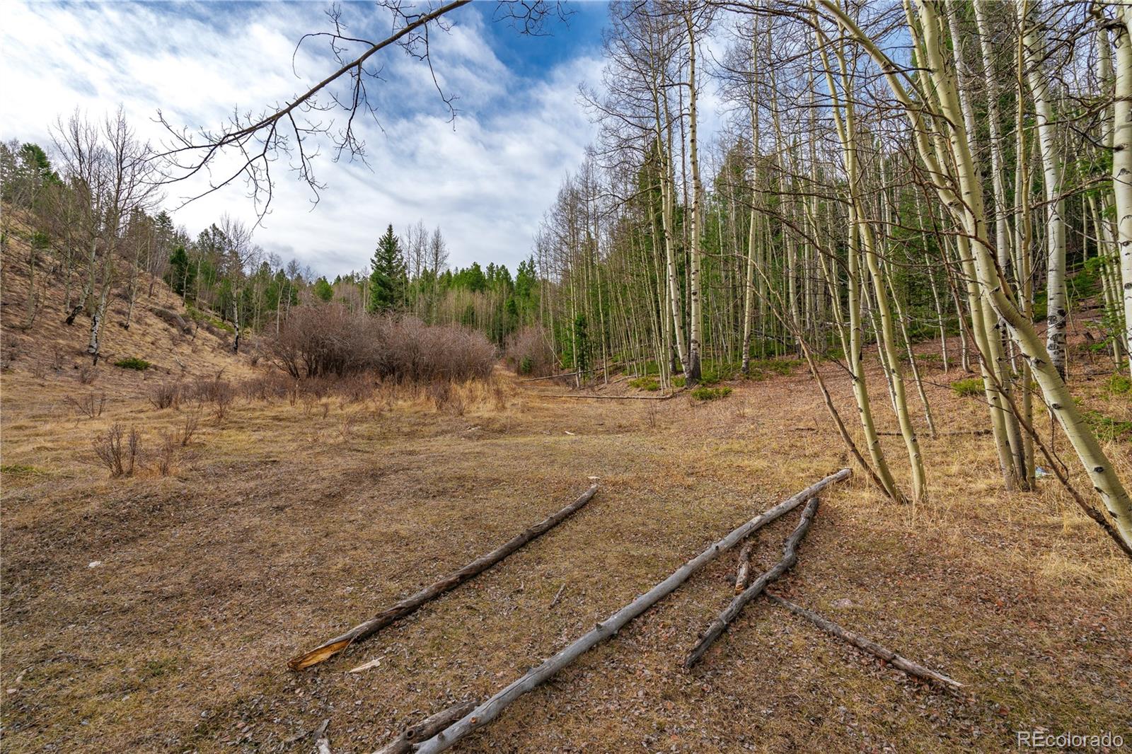 Land in Cripple Creek 2