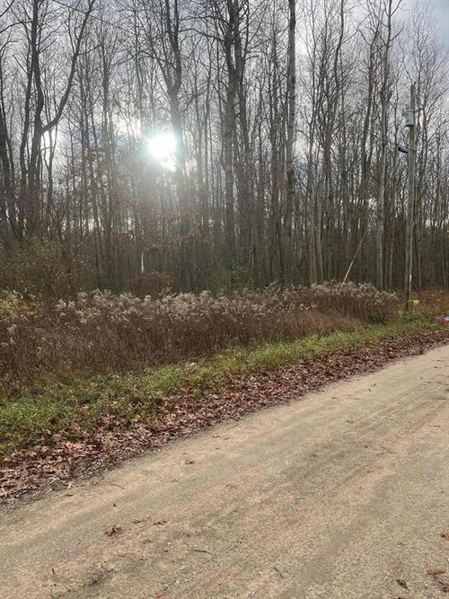 Lot 3 Pakes Road, Evergreen Twp, MI, 48888 | Card Image