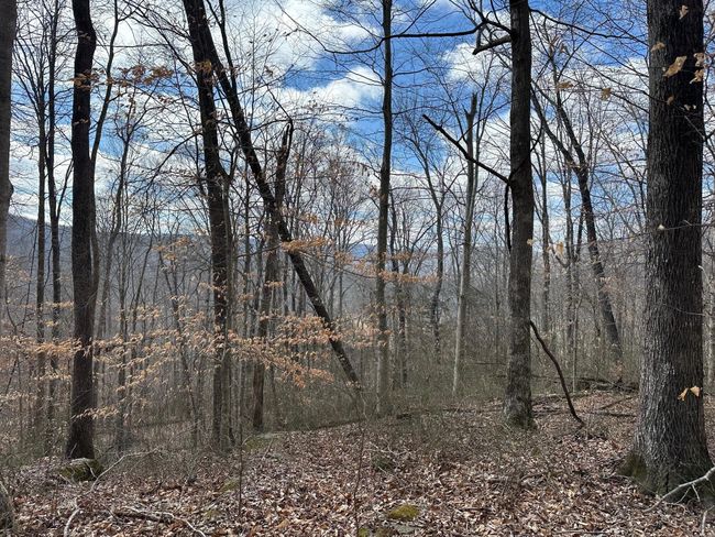 126 Northcutts Cove Rd, Home with 0 bedrooms, 0 bathrooms and null parking in Beersheba Springs TN | Image 21