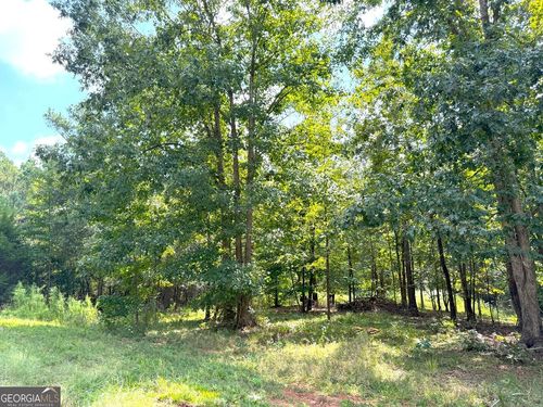 1049 Jaybird Rd, Elberton, GA, 30635 | Card Image