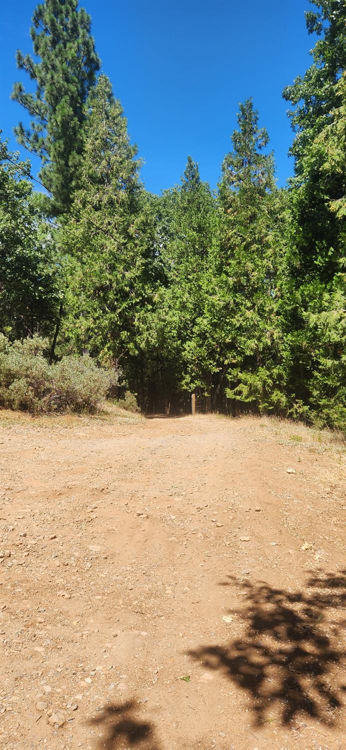 Land in Grass Valley