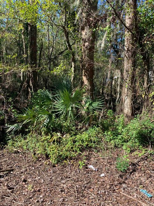 TBD #2 Stephensville Rd, Morgan City, LA, 70380 | Card Image