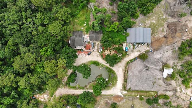 AERIAL VIEW OF 13 ACRES PROPERTY | Image 6