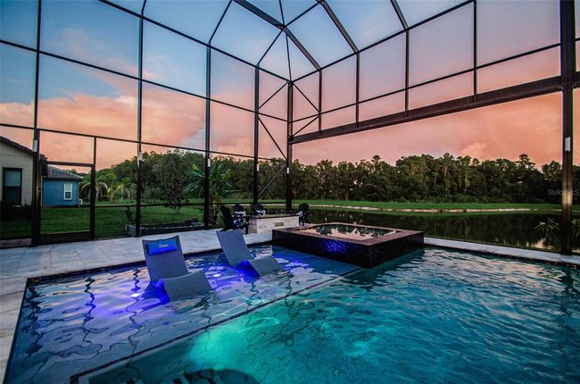29038 Picana Ln, House other with 4 bedrooms, 4 bathrooms and null parking in WESLEY CHAPEL FL | Image 72