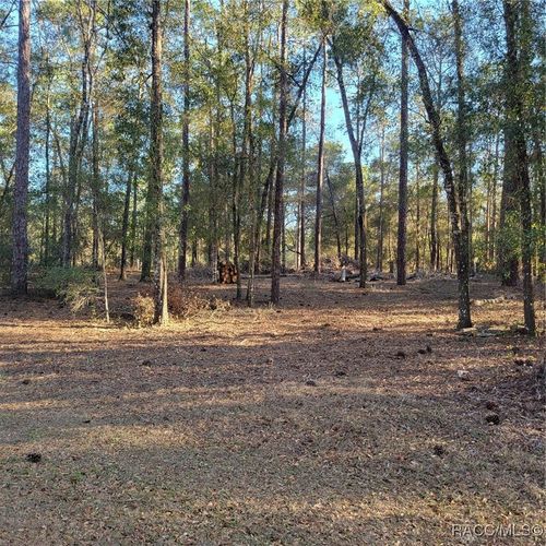 6766 E Waverly St, Inverness, FL, 34452-8256 | Card Image