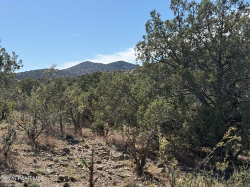 Tbd Spotted Dog Trail, Chino Valley, AZ, 86323 | Card Image