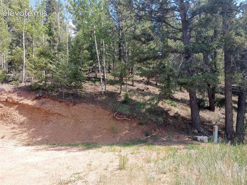 138 Glenwood Ln, Woodland Park, CO, 80863-8716 | Card Image