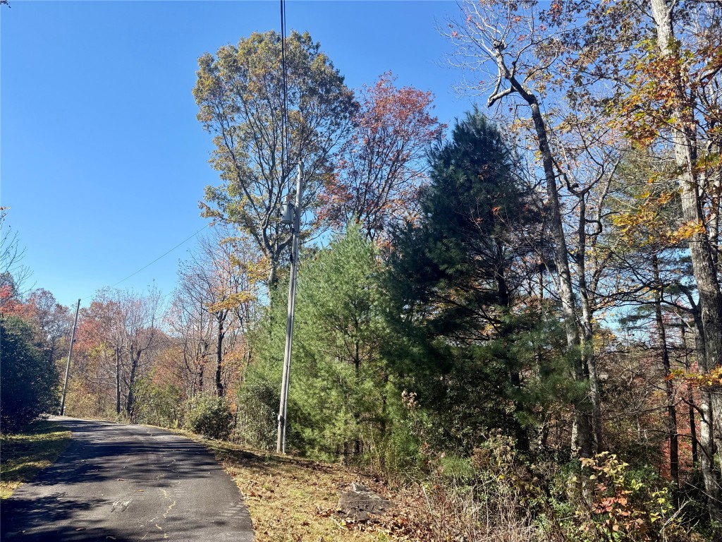 Land in Cashiers 3