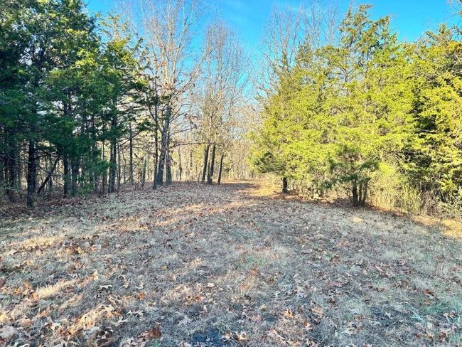 View of yard | Image 16