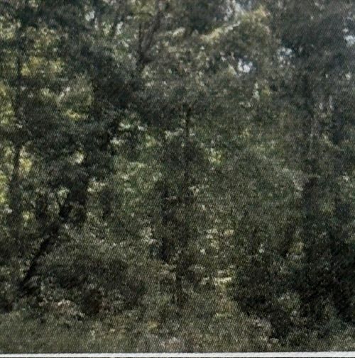 0 Shiloh Rd, Beechgrove, TN, 37018 | Card Image