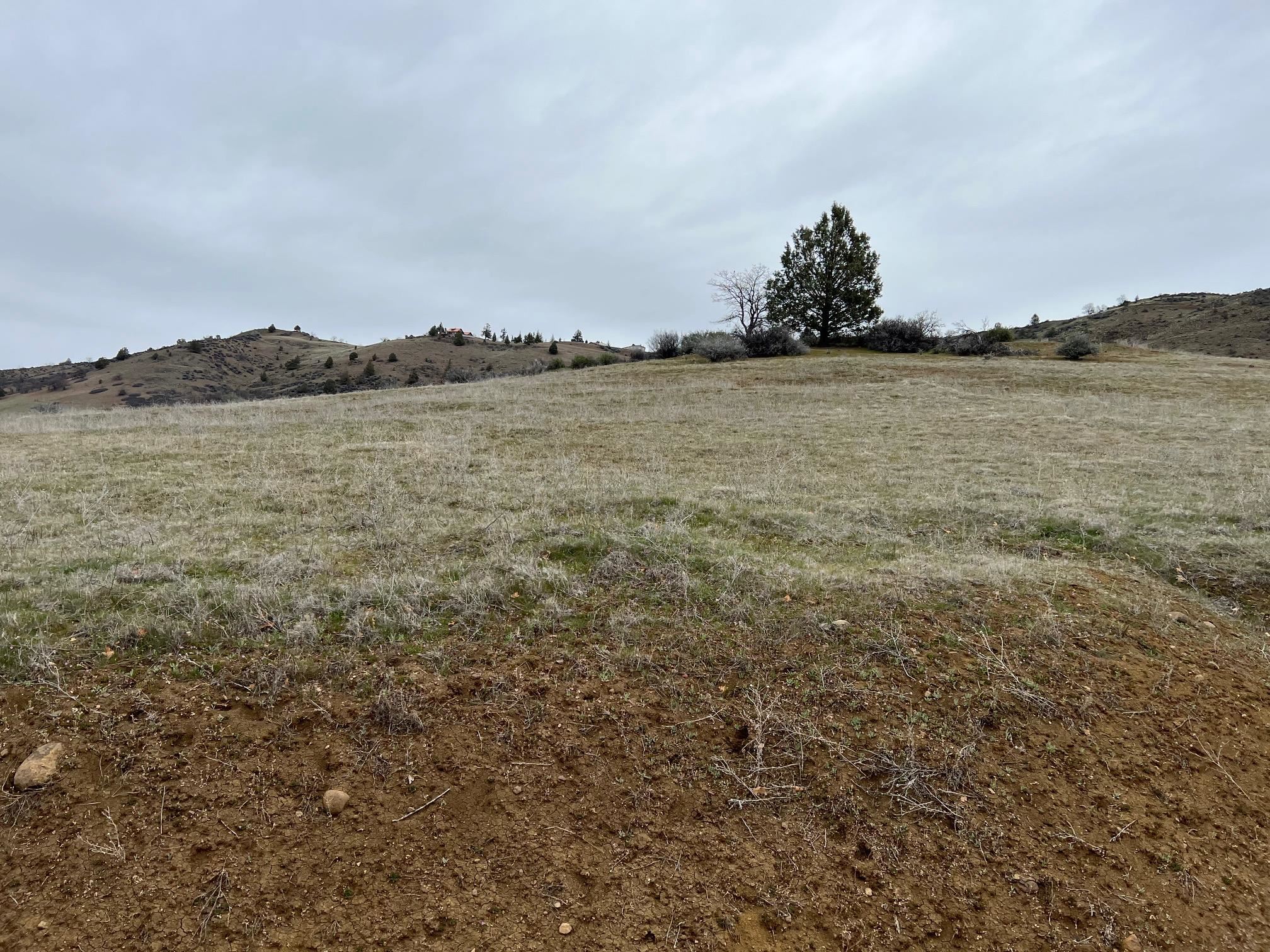 Land in Hornbrook