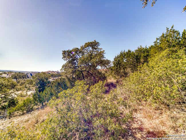23103 Stallion Rdg, Home with 0 bedrooms, 0 bathrooms and null parking in San Antonio TX | Image 9