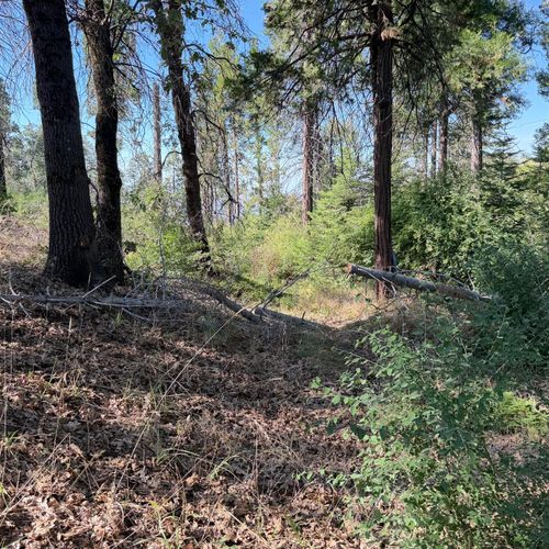 36070 Lower Cressman Rd, Shaver Lake, CA, 93664-9741 | Card Image