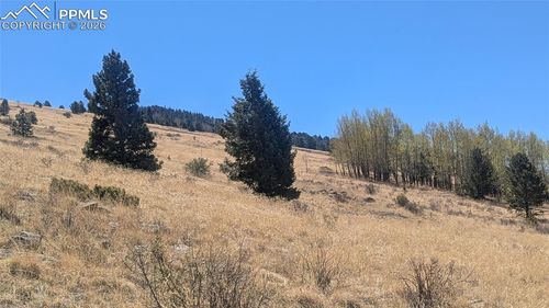 1960 Troy Drive, Cripple Creek, CO, 80813 | Card Image