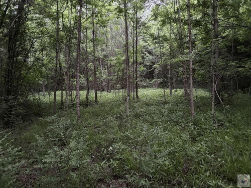TBD County Road 2742, Marietta, TX, 75566 | Card Image