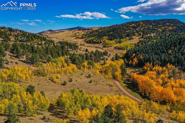 Land in Cripple Creek 5