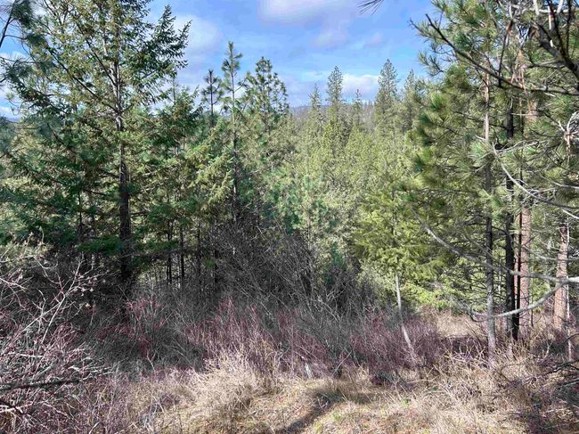 5491 Sailor Rd, Home with 0 bedrooms, 0 bathrooms and null parking in Deer Park WA | Image 23
