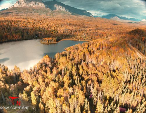 17261 N Rock Rose Ln, Chickaloon, AK, 99674 | Card Image