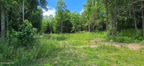 925 Anderson Hollow Rd, Huntsville, TN, 37756-4767 | Card Image