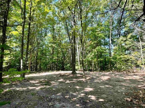 0 Us Highway 31 N, Williamsburg, MI, 49690 | Card Image