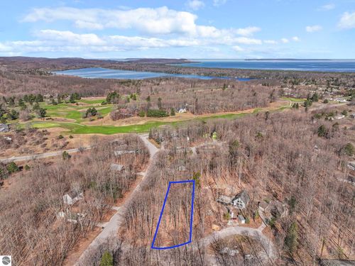 Lot 10 S Linden Ct, Cedar, MI, 49621 | Card Image