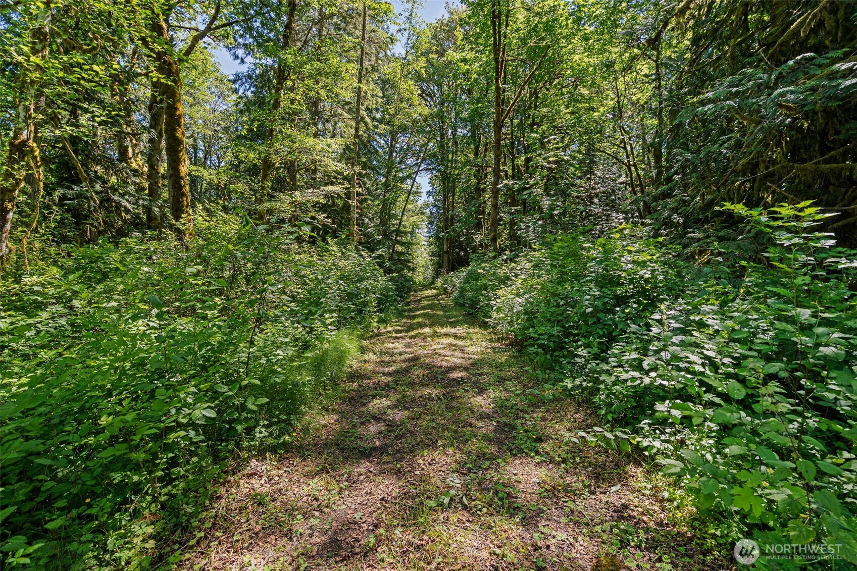 Land in Port Orchard 5