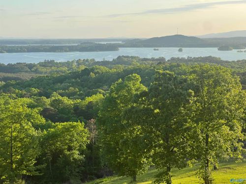 Lot 21 County Road 1015, Cedar Bluff, AL, 35959-4802 | Card Image