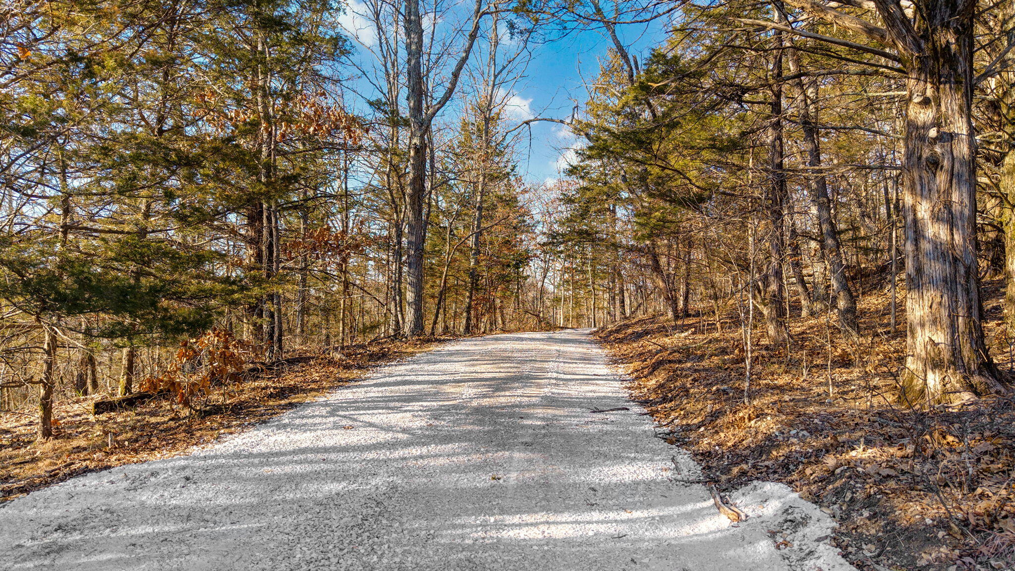 Land in Ozark 5
