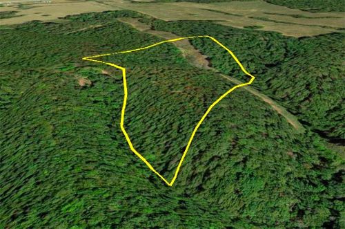 5 Bluebird Lane, Southwest City, MO, 64863 | Card Image