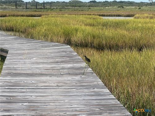 TBD Saltwater Haven, Other, TX, 77982 | Card Image