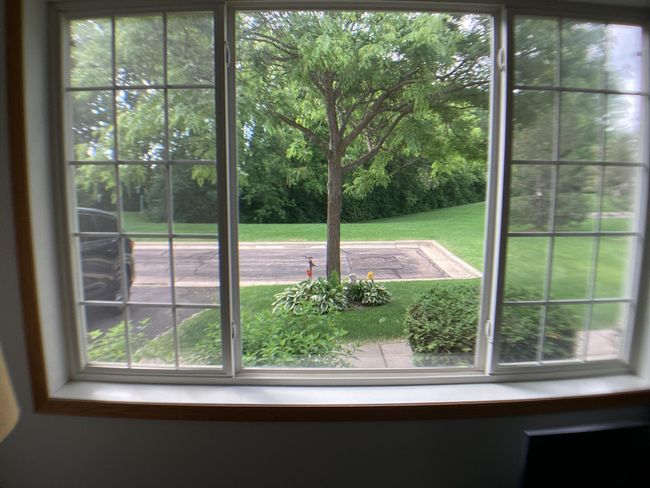 VIEW OUT LIVING ROOM WINDOW | Image 7