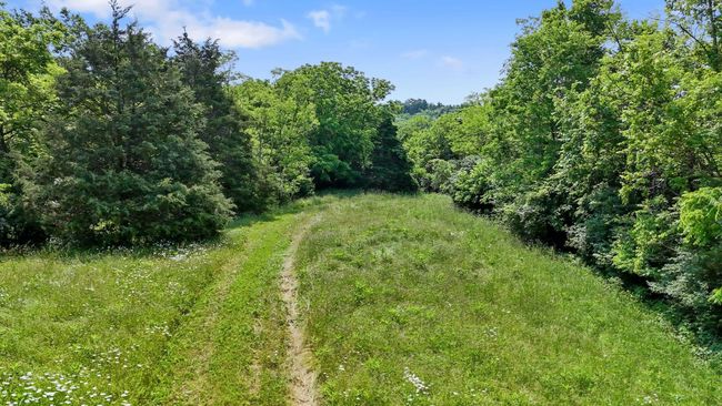 1649 Mudlick Rd, Home with 0 bedrooms, 0 bathrooms and null parking in Cynthiana KY | Image 18