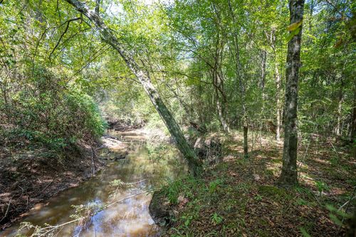 TBD County Road 4520, Warren, TX, 77664 | Card Image