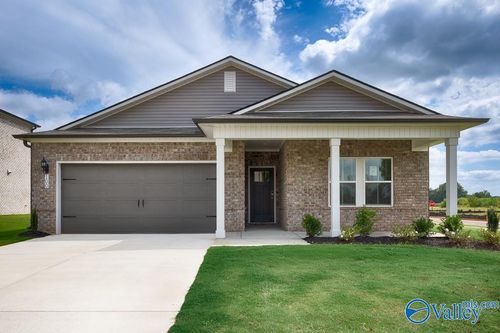 100 Gypsy Way, Toney, AL, 35773-4019 | Card Image