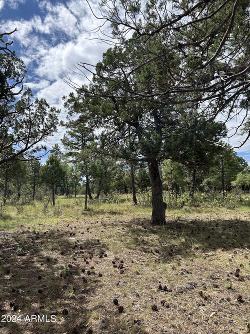 270-5852 Teton Way, Happy Jack, AZ, 86024 | Card Image