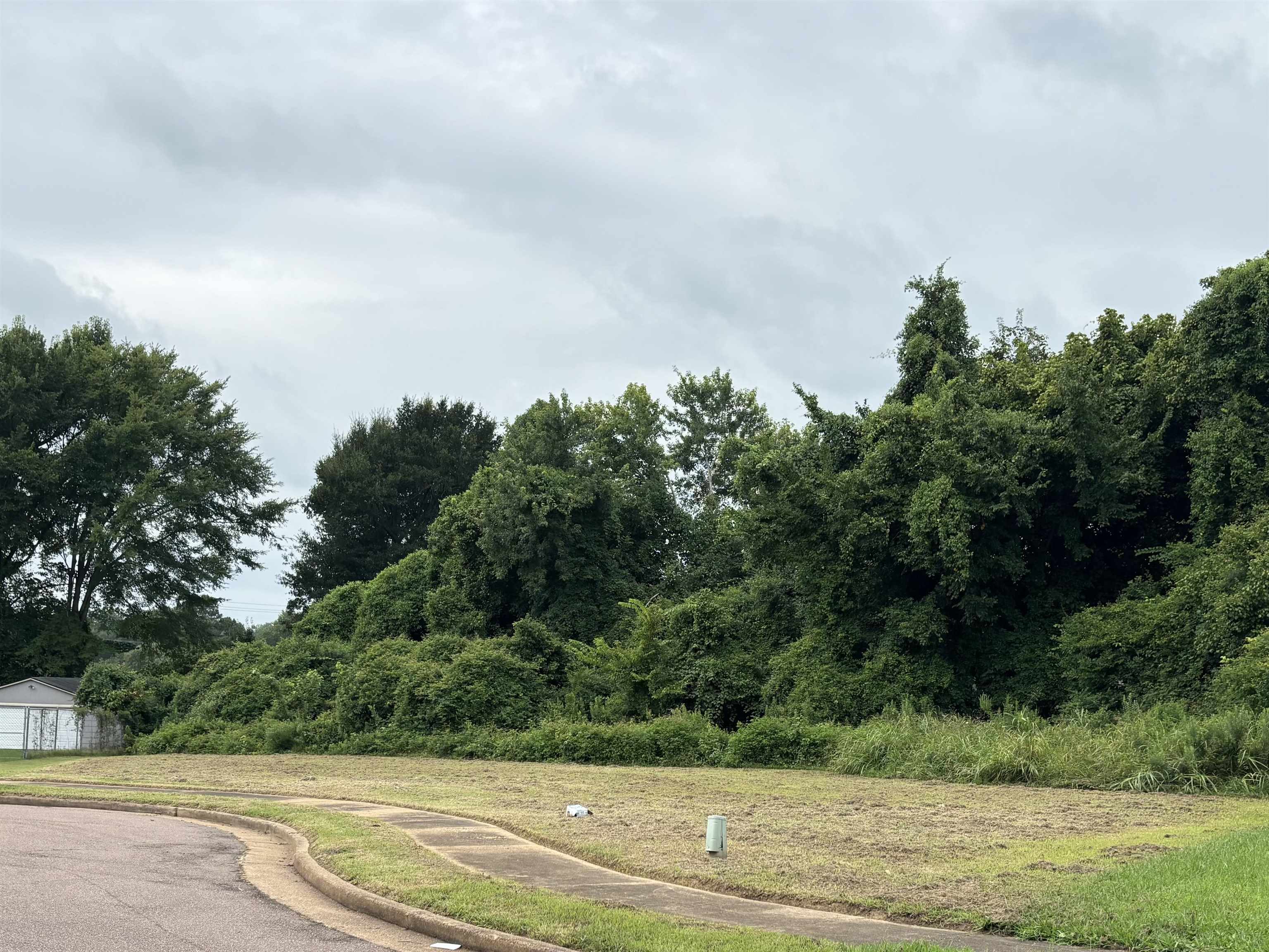 Land in Memphis 2