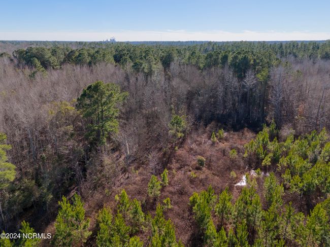 00 Sykes Town Rd, Home with 0 bedrooms, 0 bathrooms and null parking in Currie NC | Image 33