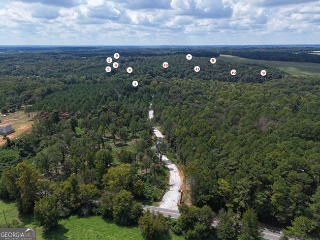 TRACT-9 - 0 Sanford Dr, Home with 0 bedrooms, 0 bathrooms and null parking in Nicholson GA | Image 4