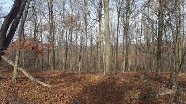 5 Glade Pike, Home with 0 bedrooms, 0 bathrooms and null parking in Manns Choice PA | Image 8