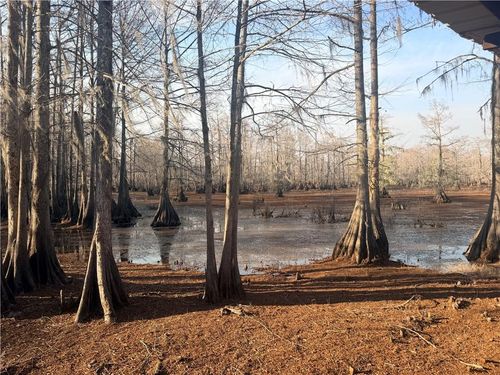 568 & 572 Hog Island Road, Dry Prong, LA, 71423 | Card Image