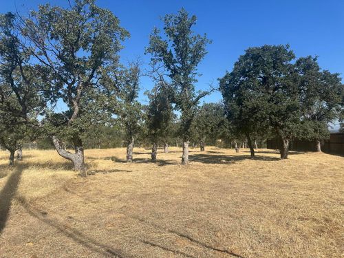 22554 River View Dr, Cottonwood, CA, 96022-7788 | Card Image