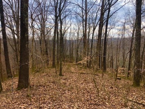 0 Simpkins Rd, Whites Creek, TN, 37189 | Card Image